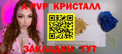 стаф Сланцы