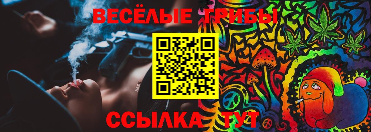 Галлюциногенные грибы ЛСД Новозыбков