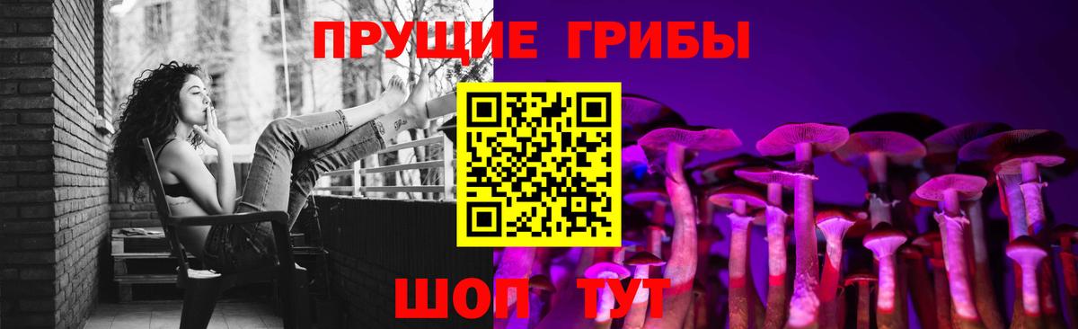 Псилоцибиновые грибы мицелий  Вход с VPN  Новозыбков 